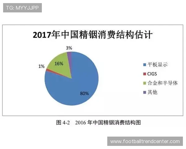 围绕和睦法兰克福俱乐部发展历程与未来战略布局的深度解析与展望